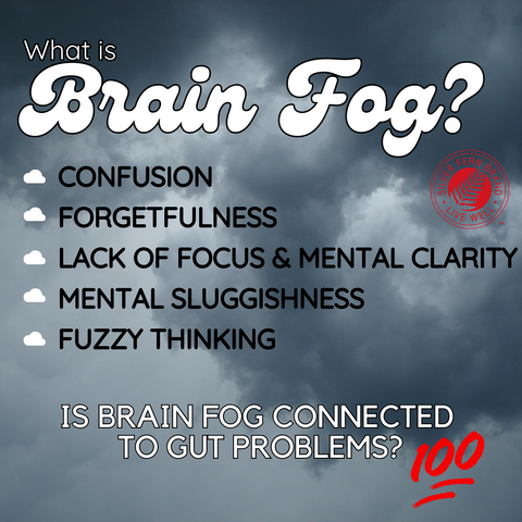 Is brain fog related to gut health? YES! - gut health, hashimotos, candida, IBS