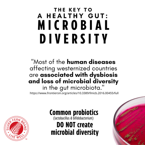 What makes Ultimate Probiotic different? - gut health, probiotics