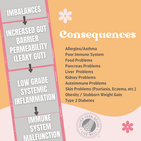 What's causing all of your underlying issues? - gut health, microbiome, gut imbalance