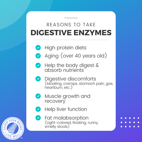 Digestive enzymes help you better absorb the nutrients from your food* - gut health, probiotics