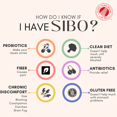How do I know if I have SIBO? - gut health, probiotics, SIBO