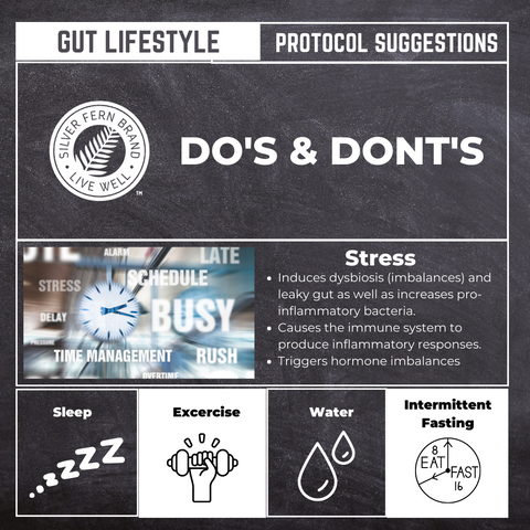 Lifestyle suggestions to aid your gut health journey - gut health, diet, exercise, stress