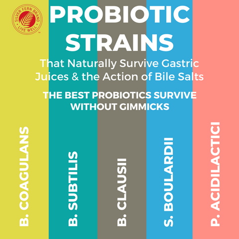 The best probiotics survive without special coatings, capsules or high CFU count - gut health