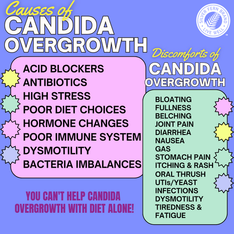 What can you do to help with candida overgrowth? - gut health, candida, bloating, gas