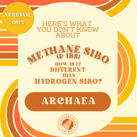 How do you help methane SIBO for good? - gut health, SIBO, Nano Scrub,
