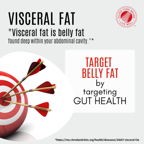 You can target belly fat through gut health - prebiotics, weight loss, gut health