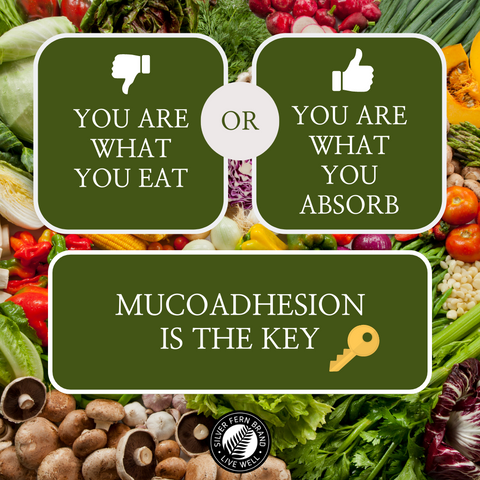 Nutrient absorption is what really matters, read on to find out how to improve it - gut health,