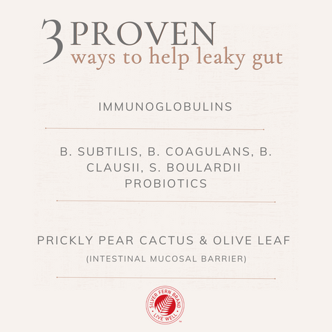 3 proven ways to help leaky gut - gut health, probiotics, immunoglobulins, prickly pear cactus