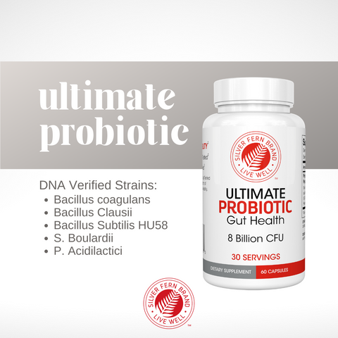 Our favorite managerial probiotic strains in one product. - gut health