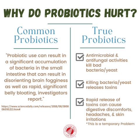 Why do probiotics hurt? There is help! - gut health, probiotics, cleanse, immunoglubulins, constipation, diarrhea, heartburn, reflux, bloating
