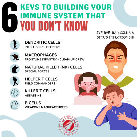 6 Keys to building your immune system that you don't know - gut health, immune health