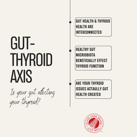 Is your gut affecting your thyroid - gut health, Hashimotos, Graves