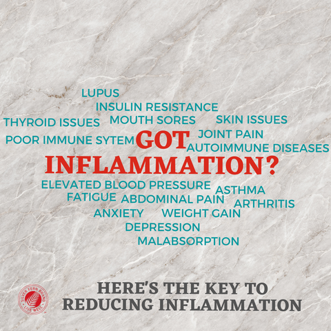 Got inflammation? Gut health may be the key - leaky gut, probiotics, antibodies, immunoglobulins