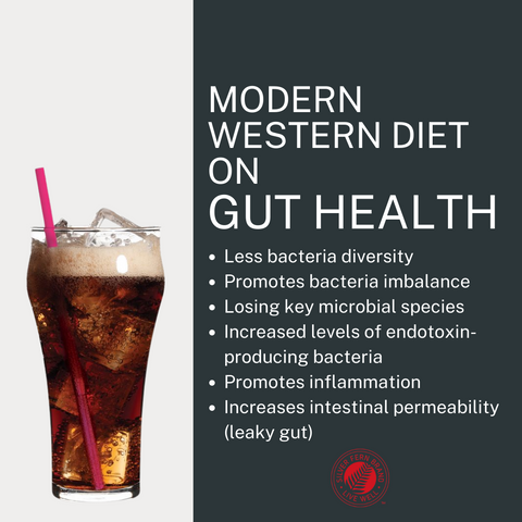The modern western diet is no good on gut health - probiotics, prebiotics