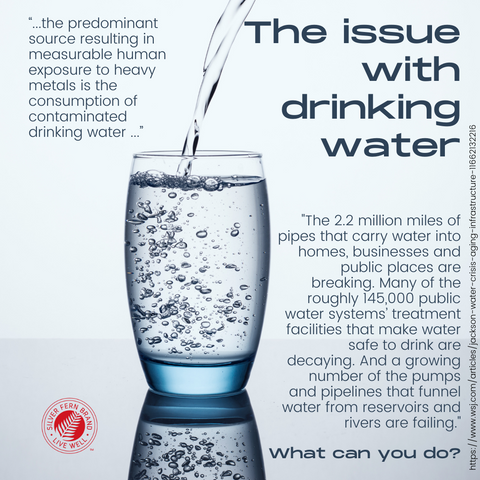 Regular drinking water can be contaminated with all sorts of things we don't want in our bodies