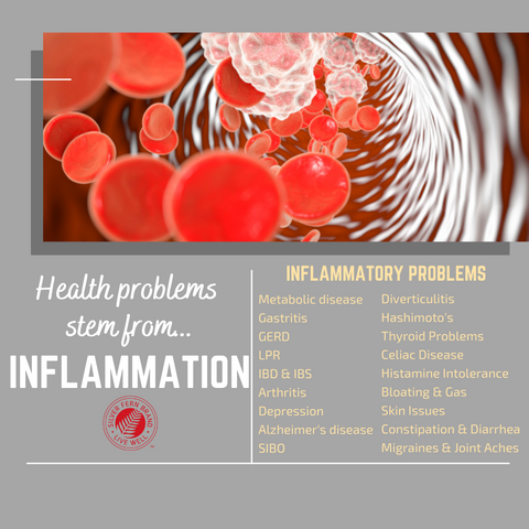 The majority of health problems stem from inflammation - gut health, gastritis, GERD, histamine, SIBO, depression