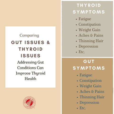 Addressing gut issues can improve thyroid health - gut health, Hashimoto