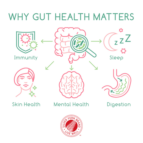 Why does gut health matter? - gut health, probiotics
