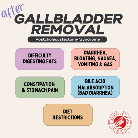 What can you do after gallbladder removal? - gut health, digestive enzymes, bile production