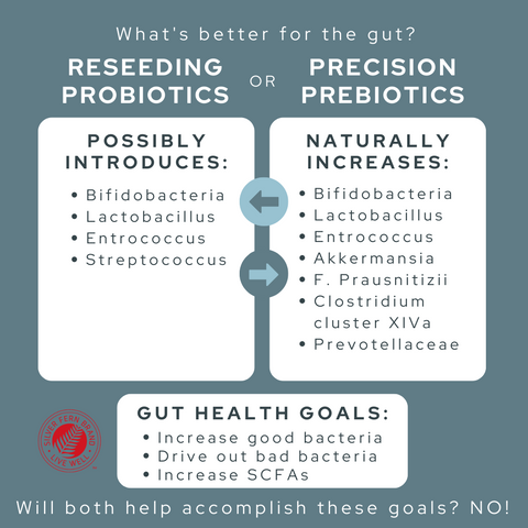 Precision prebiotics help increase good bacteria in the gut - gut health