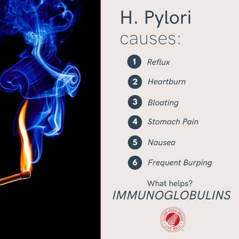 H. pylori causes all sorts of issues, immunoglobulins can help - gut health, reflux, stomach ache
