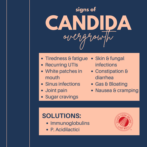 What's the best way to get rid of Candida overgrowth? Immunoglobulins & P. Acidilactici - gut health, probiotics, cleanse