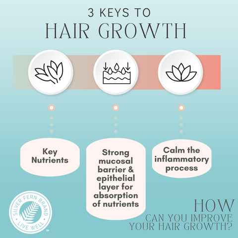 3 keys to hair growth - gut health, keratin, bamboo extract