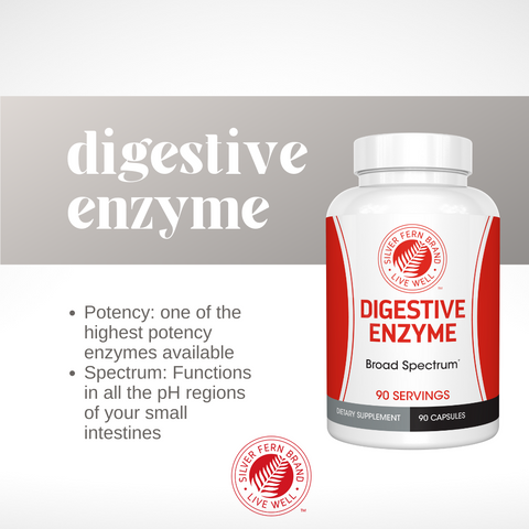 Why do you need digestive enzymes? -  gut health, nutrient absorption, bloating