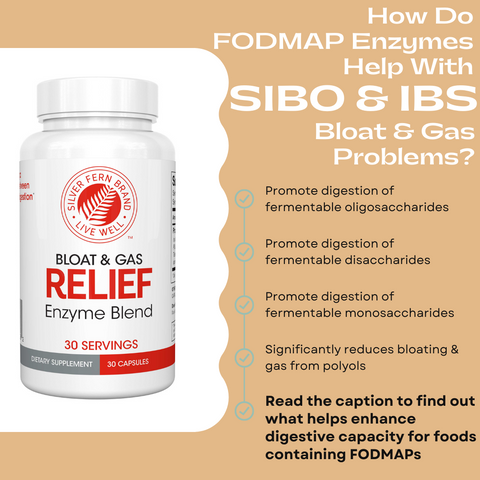 Bloat & Gas Relief enzymes for FODMAP foods - gut health, IBS, SIBO, FODMAP