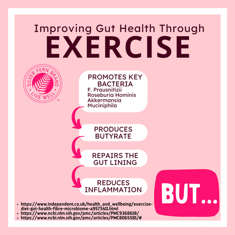 Can exercise improve your gut health? - gut health, probiotics, prebiotics, mucosal support, leaky gut