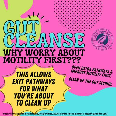 Why should you worry about your digestion  before starting a gut cleanse? - gut health, probiotics, motility