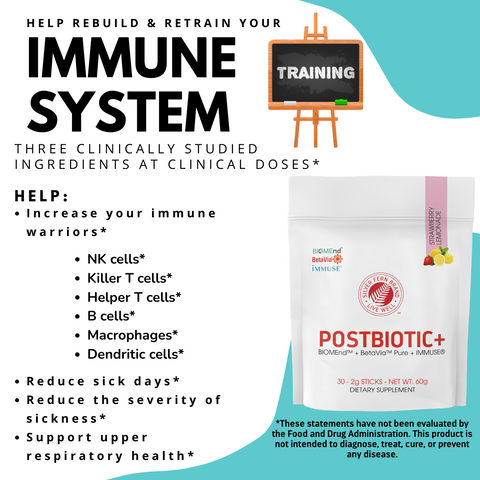 Help rebuild and retrain your immune system - gut health, immune support