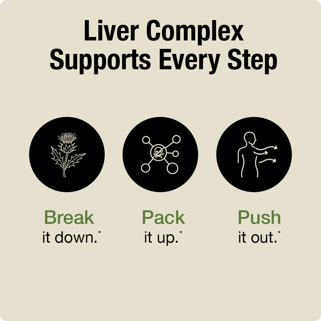 Diagram showing the stages of liver complex support with icons and text on a beige background.