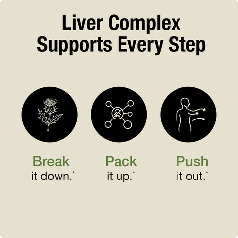 Diagram showing the stages of liver complex support with icons and text on a beige background.