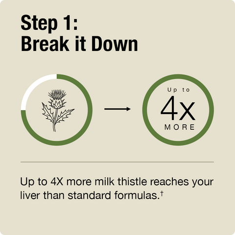Infographic explaining the benefits of a product with milk thistle, showing an increase in liver reach.