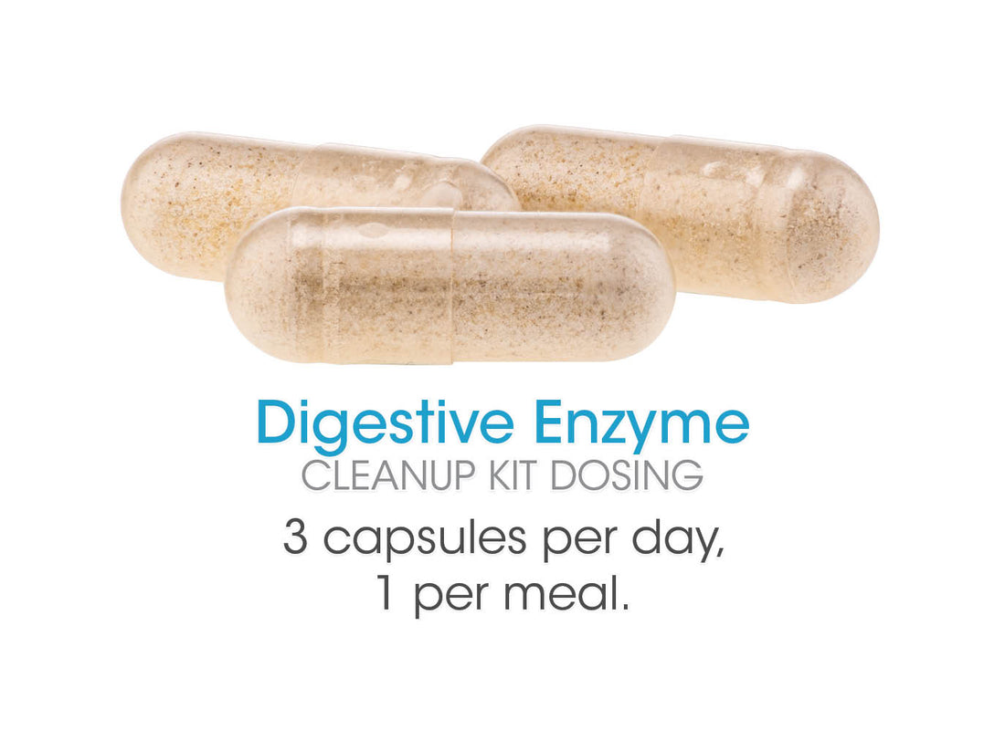 Upper & Lower GI Kit by Silver Fern™ Brand | Digestion Protocol